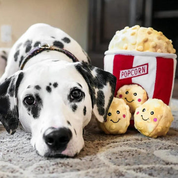 Dalmatian dog lying on a carpet next to popcorn-themed toys.